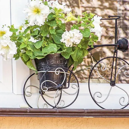 Beautiful In With Wifi