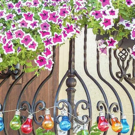 Prázdninový dům Beautiful In With Wifi