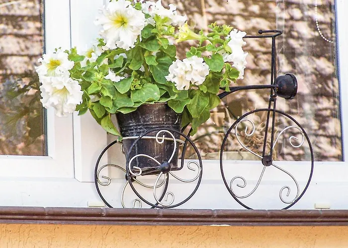 Beautiful In With Wifi